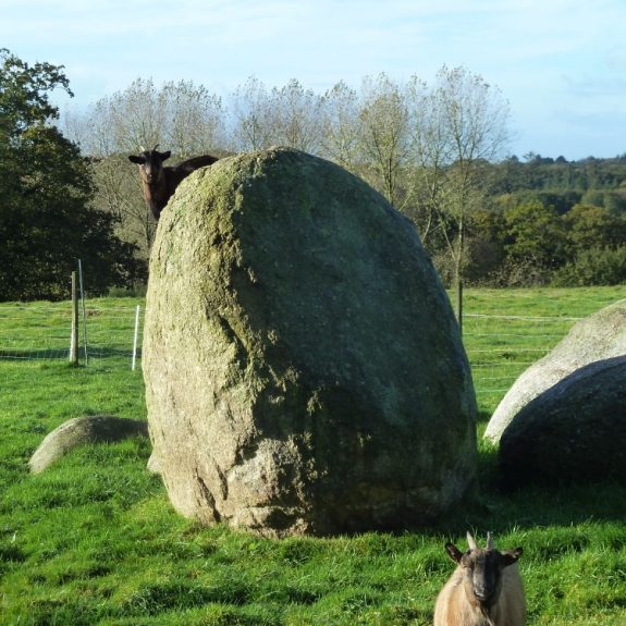 ferme_le_coquetier_13__096468500_1425_18112014